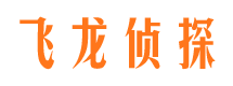 大柴旦侦探